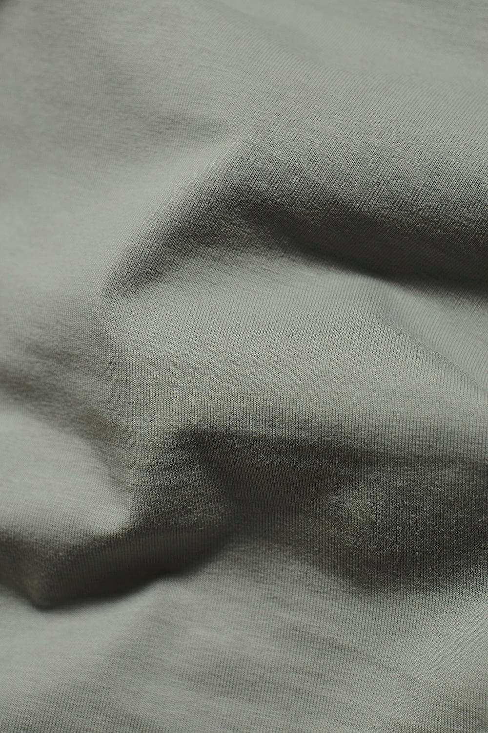 Tipped Fashion Fit T-Shirt in Sage / White - Image 7